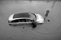 th (1).jpg th (1).jpg