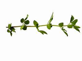 th (7).jpg th (7).jpg